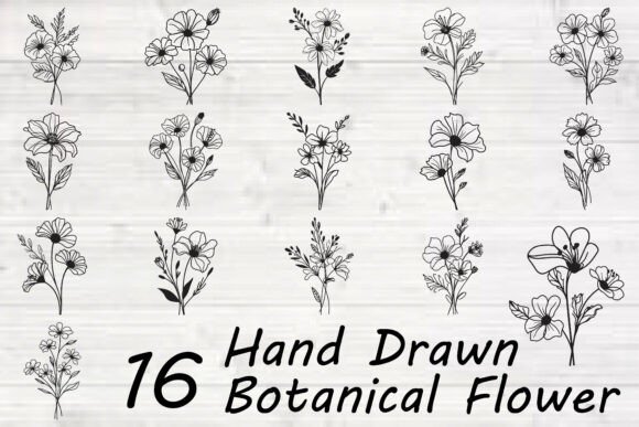 Hand Drawn Botanical Flower
